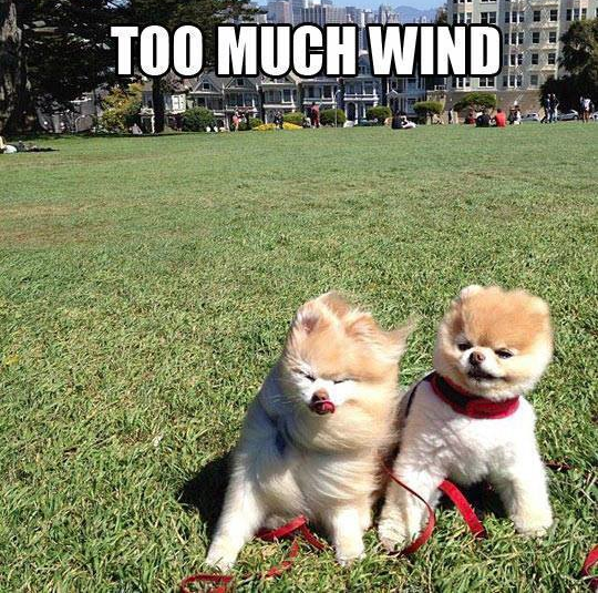 Screen Shot 2016-02-06 at 21.27.26