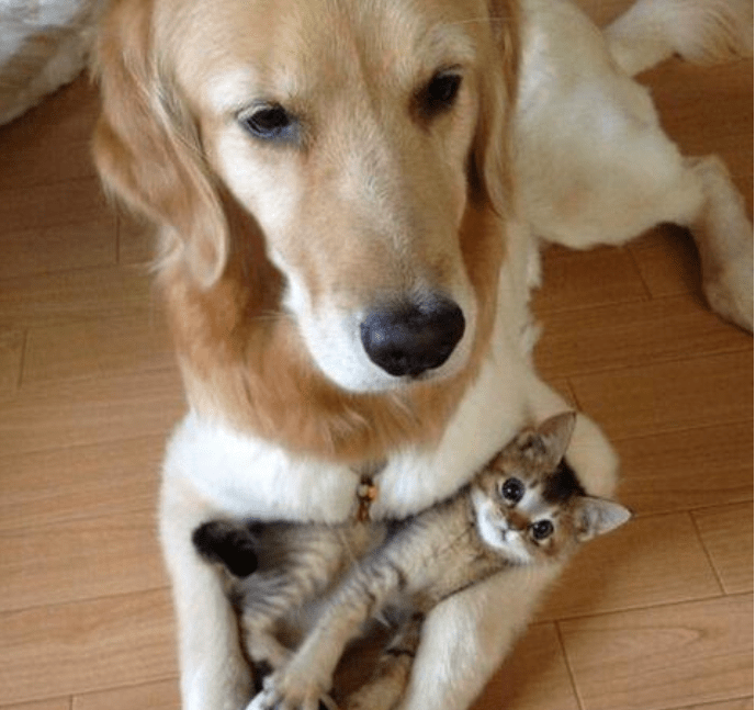 Screen Shot 2016-02-14 at 21.54.44